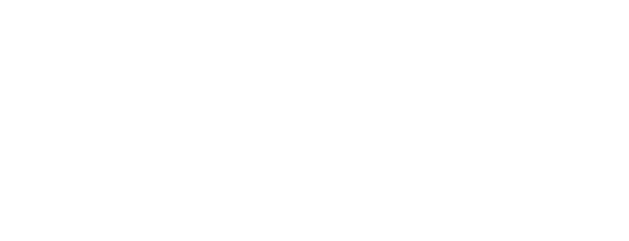 Logo SerenDPT