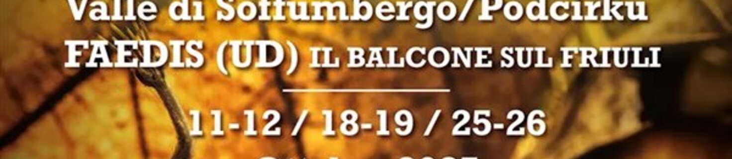 Immagine di copertina 44ª edizione (2025)