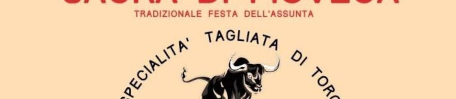 Immagine di copertina Sagra di Piovega del 2025