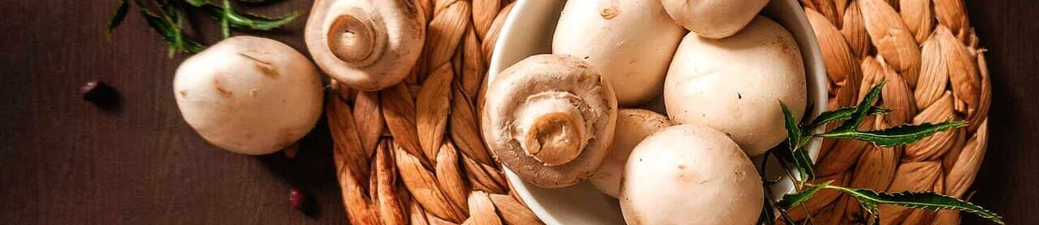 Festa dei Funghi e dell’Ambiente