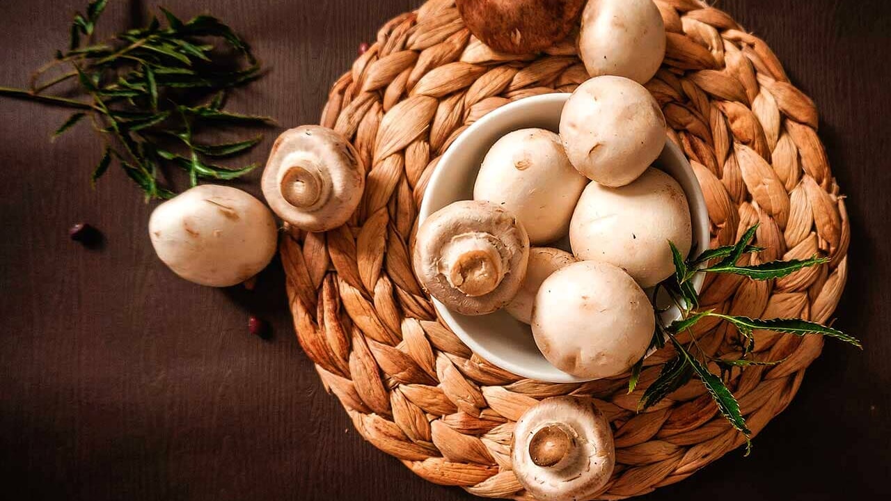 Immagine di copertina Festa dei Funghi e dell’Ambiente