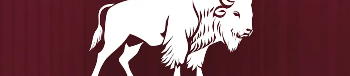 Festa della Polenta con Bisonte di Ronchis