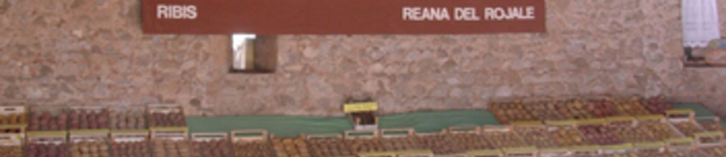 Immagine di copertina Edizione 2025 della Mostra/Sagra