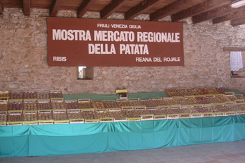 Immagine di copertina Edizione 2025 della Mostra/Sagra