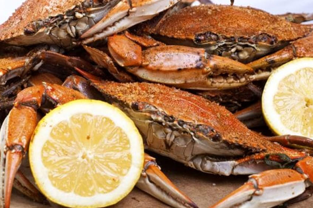 Immagine di copertina Edizione 2025 della Sagra