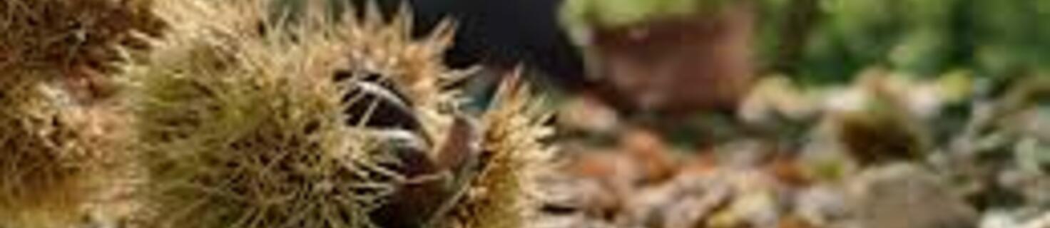 Immagine di copertina Edizione del 2025