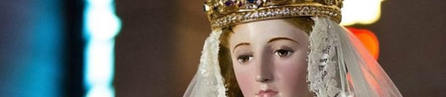 Immagine di copertina 50ª edizione (2025)