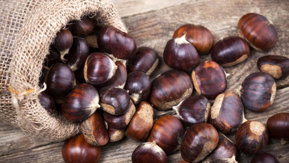 Immagine di copertina Edizione 2025 della Festa delle Castagne