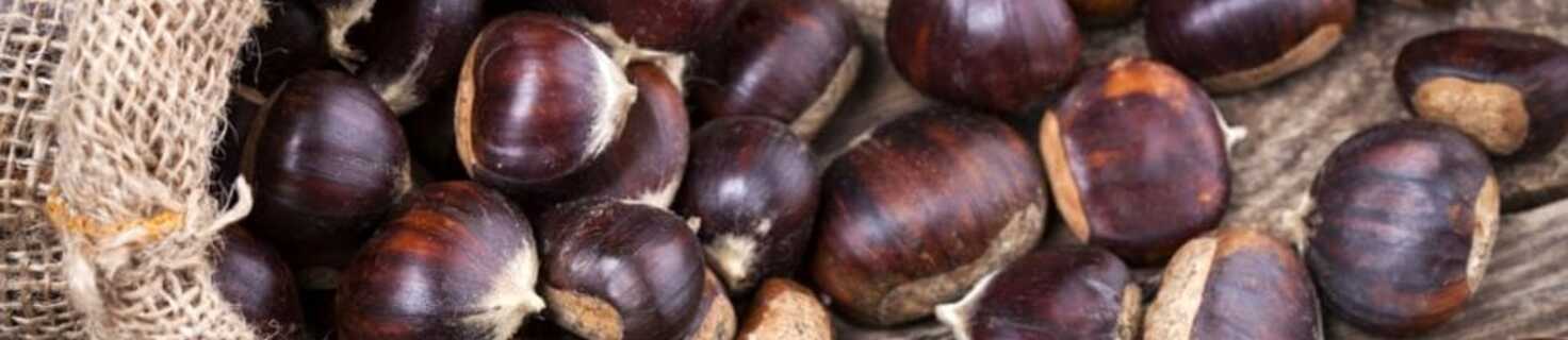 Immagine di copertina Edizione 2025 della Festa delle Castagne