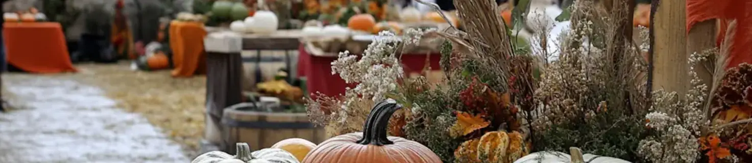 Immagine di copertina Edizione 2025 della Festa