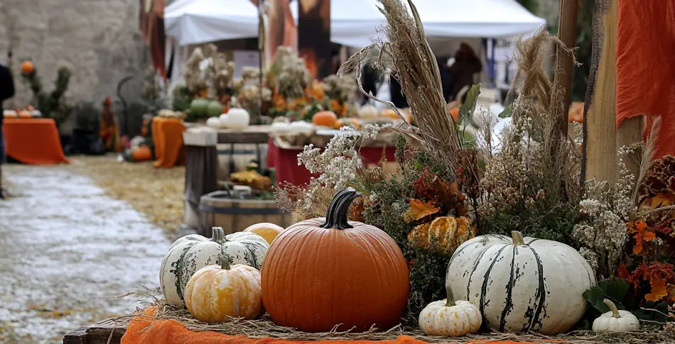 Immagine di copertina Edizione 2025 della Festa
