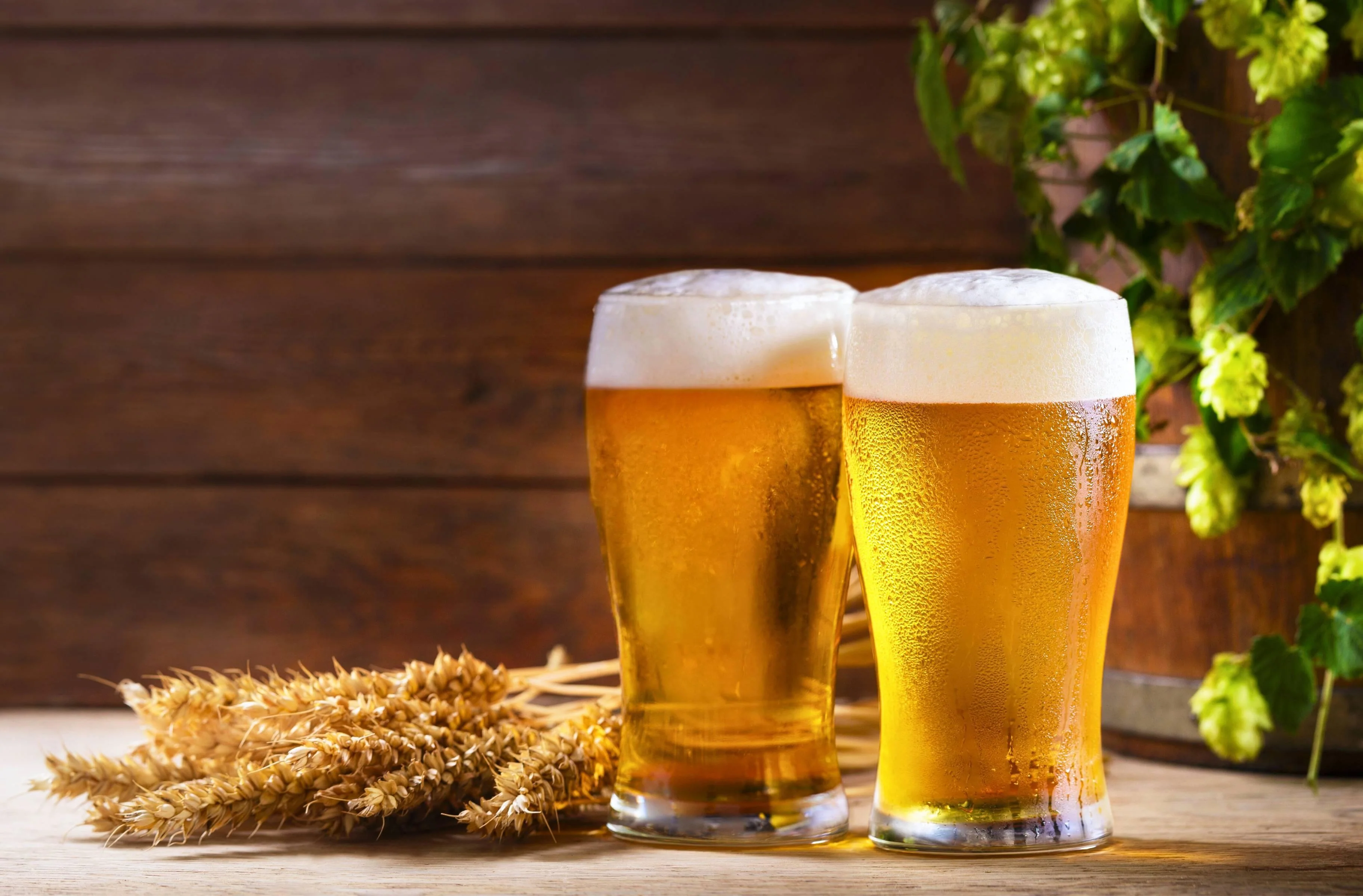 Immagine di copertina Edizione 2025 della Festa