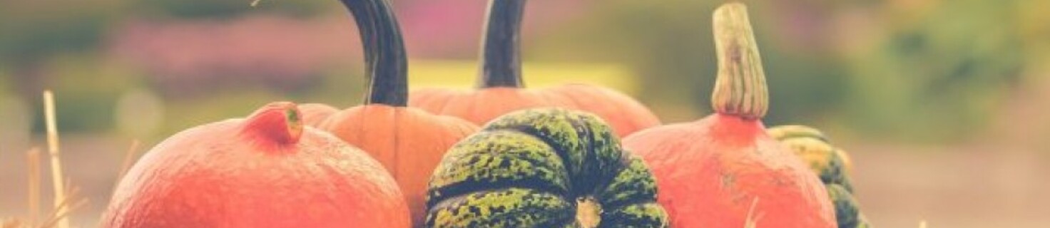 Immagine di copertina Edizione del 2025