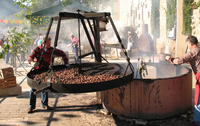 Immagine di copertina 49ª edizione della Sagra dei Maroni (castagne) - 2025