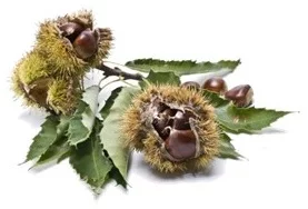 Immagine di copertina Edizione 2025