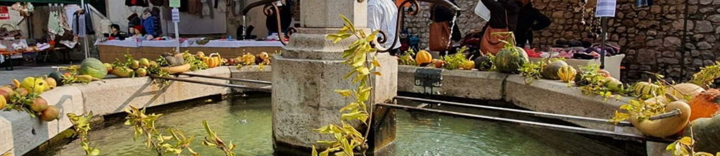 Immagine di copertina Edizione 2025 di Tovena in Festa