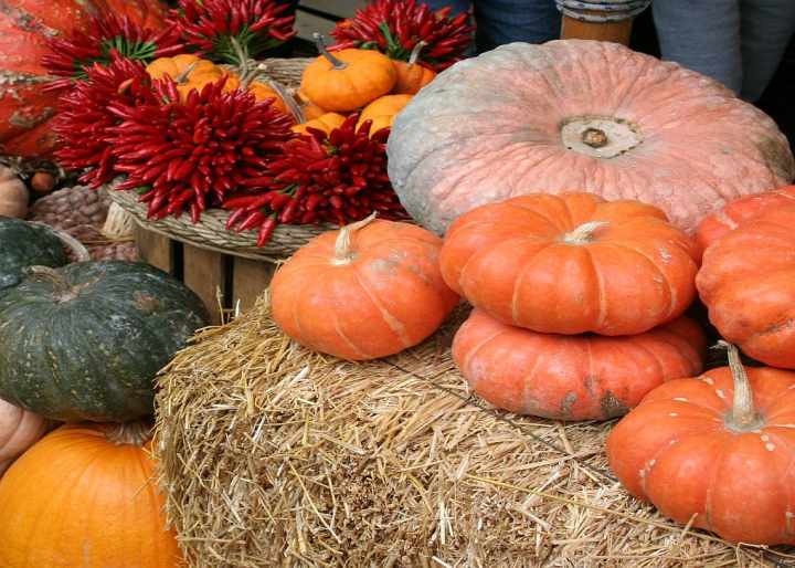 Immagine di copertina Festa della Zucca di Salzano