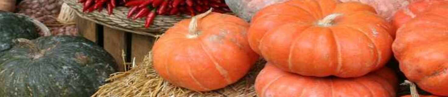 Festa della Zucca di Salzano