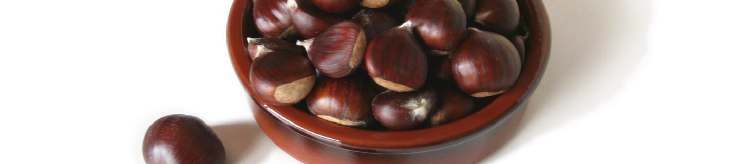 Immagine di copertina Castagnada 2025