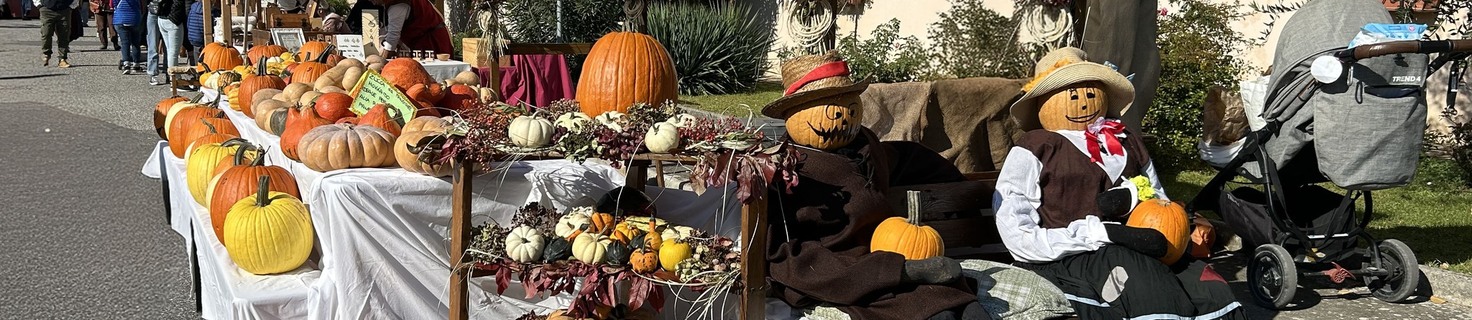 Immagine di copertina Edizione 2025 della Festa