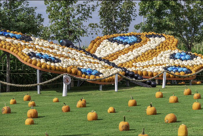 Immagine di copertina Il Giardino delle Zucche del Parco Rurale di San Floriano