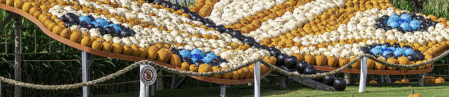 Il Giardino delle Zucche del Parco Rurale di San Floriano