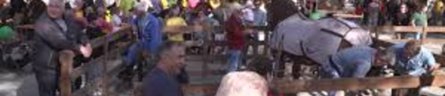 Immagine di copertina 21ª edizione della Fiera - 2025