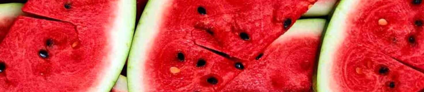 Immagine di copertina 52ª Edizione