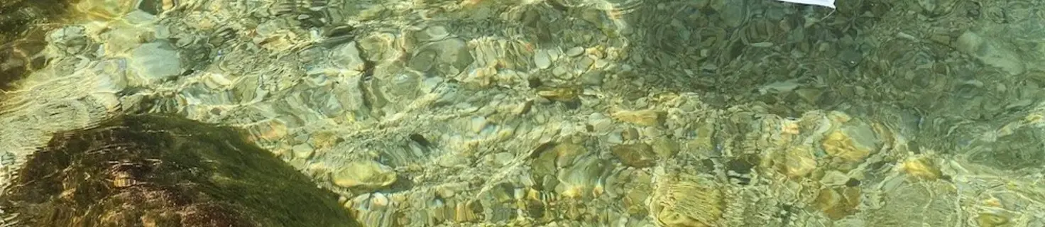 Art in Tôr